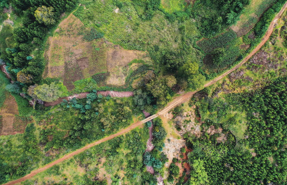 Agricultural Land Investment: Grow Something. It Changes You