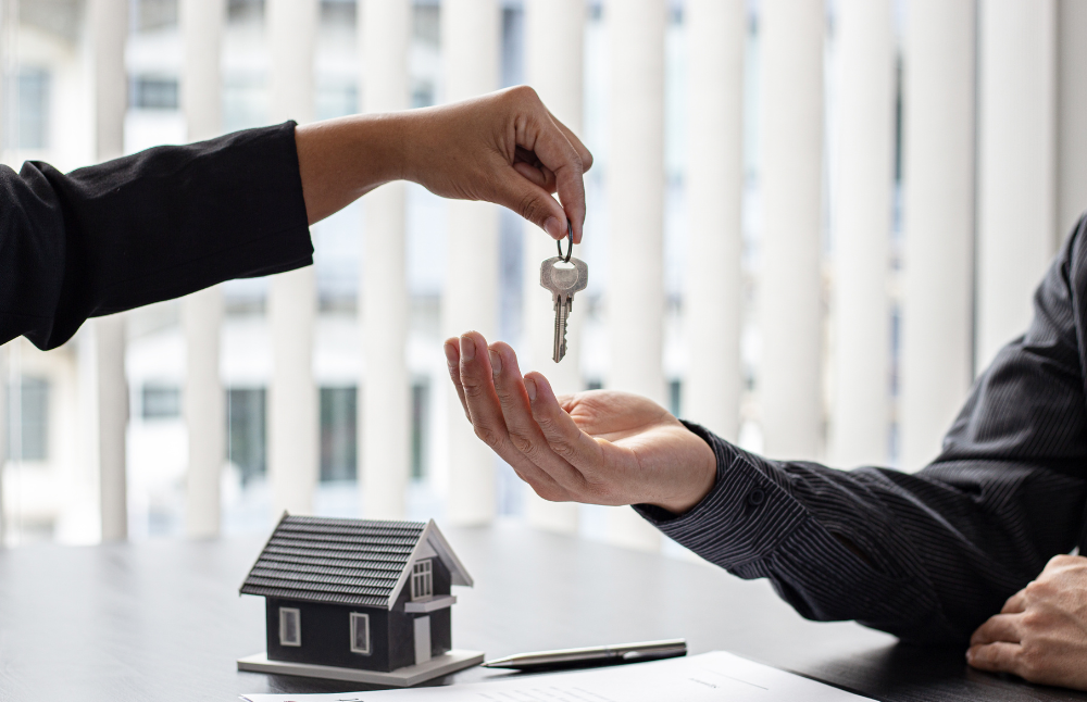Land Ownership Investment: The Only Investment You Can Stand On